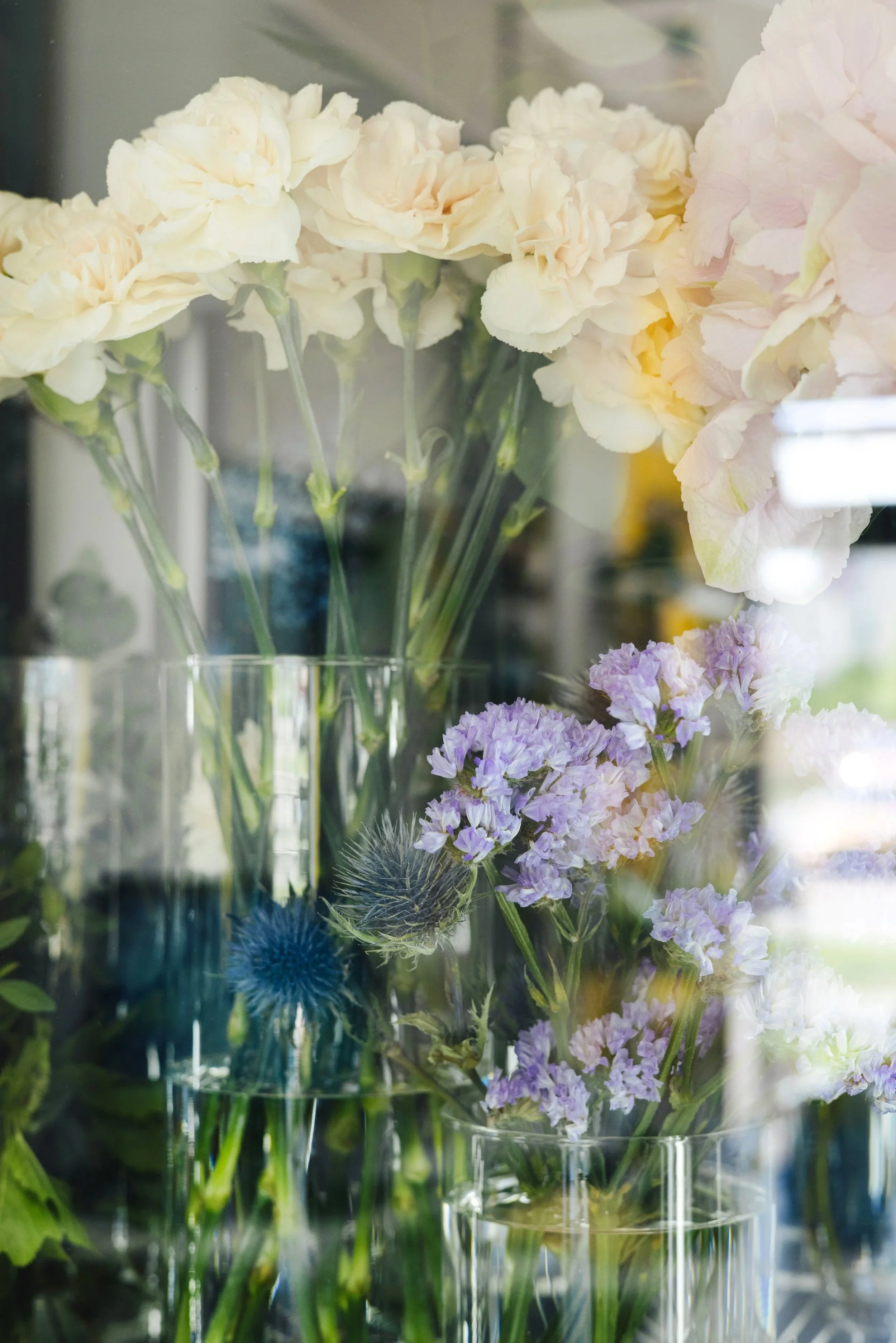 the-weekly-bunch-bloom-culture-0817.jpg