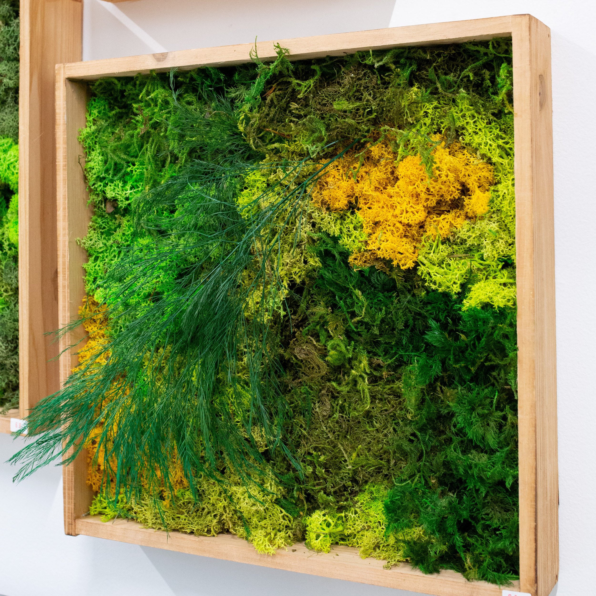 moss-art-workshop-calgary.jpg
