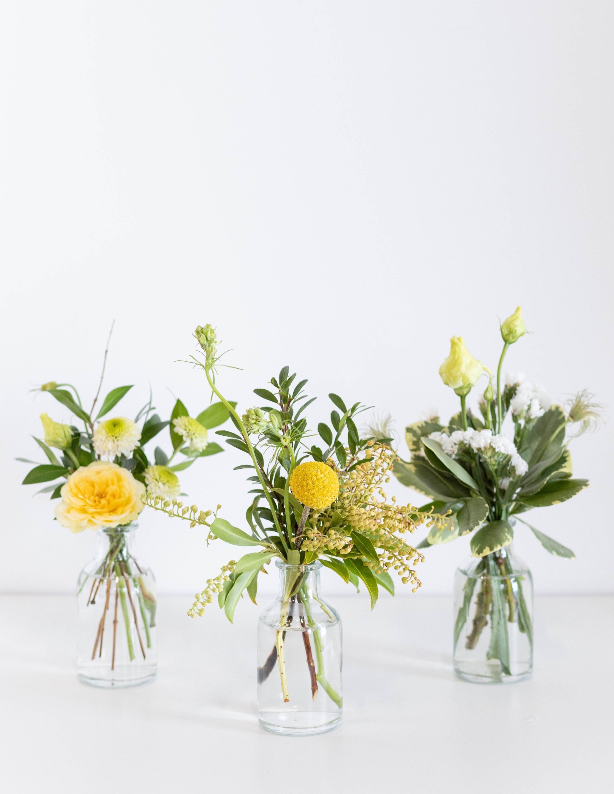 posy-ensemble-bloom-culture-0414.jpg