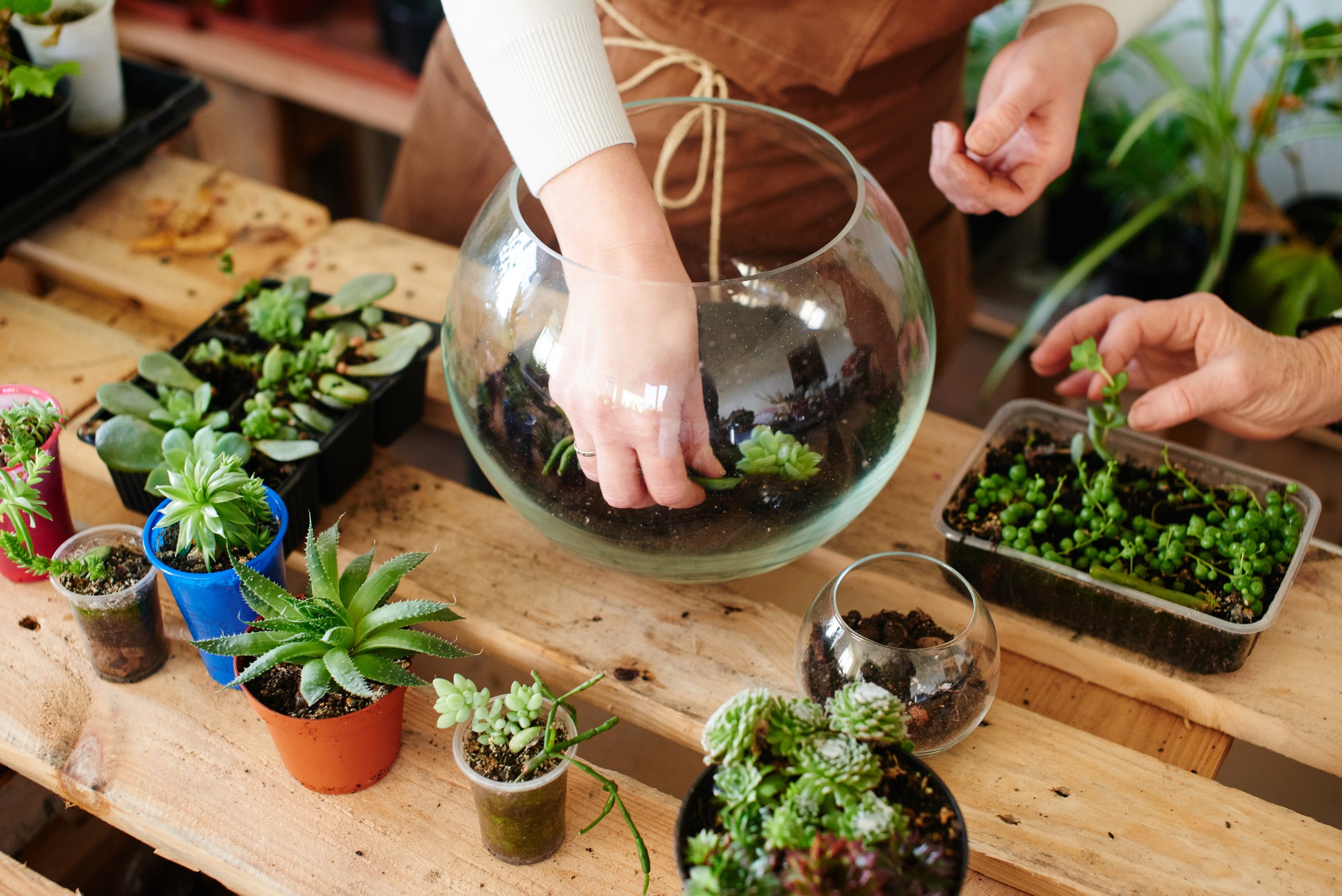terrarium-workshop-calgaty-0430.jpeg