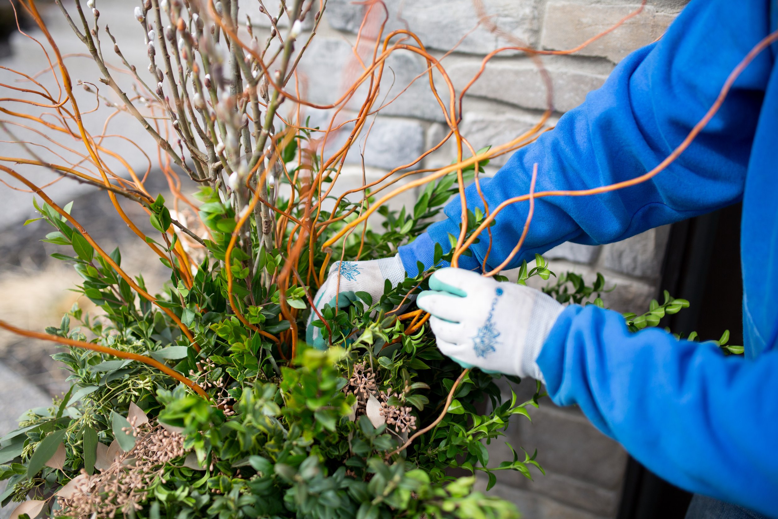 Seasonal Container Installation Calgary.jpg