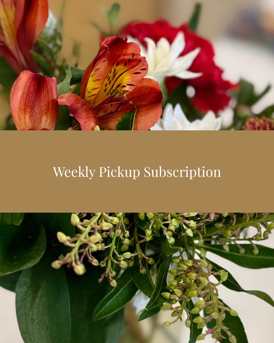 Weekly Subscription Studio Pick Up