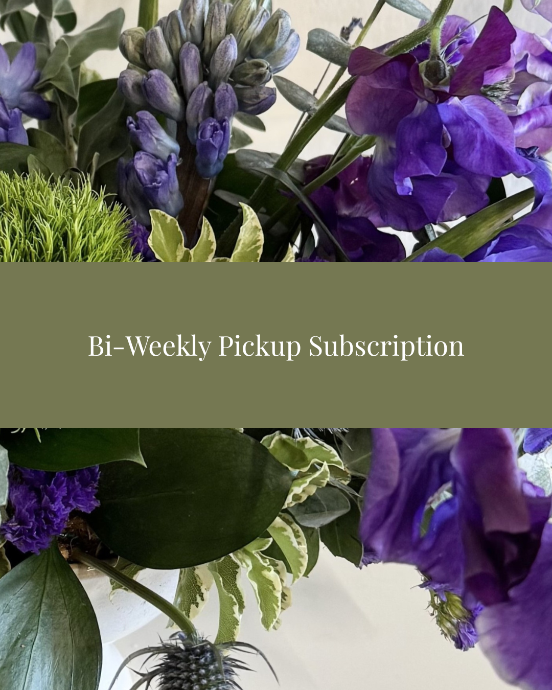 Bi-Weekly Subscription Studio Pickup