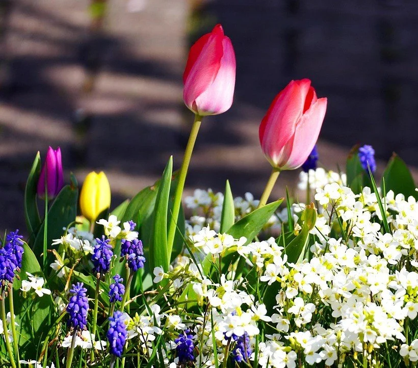 Garden Bouquet Workshop - June 14