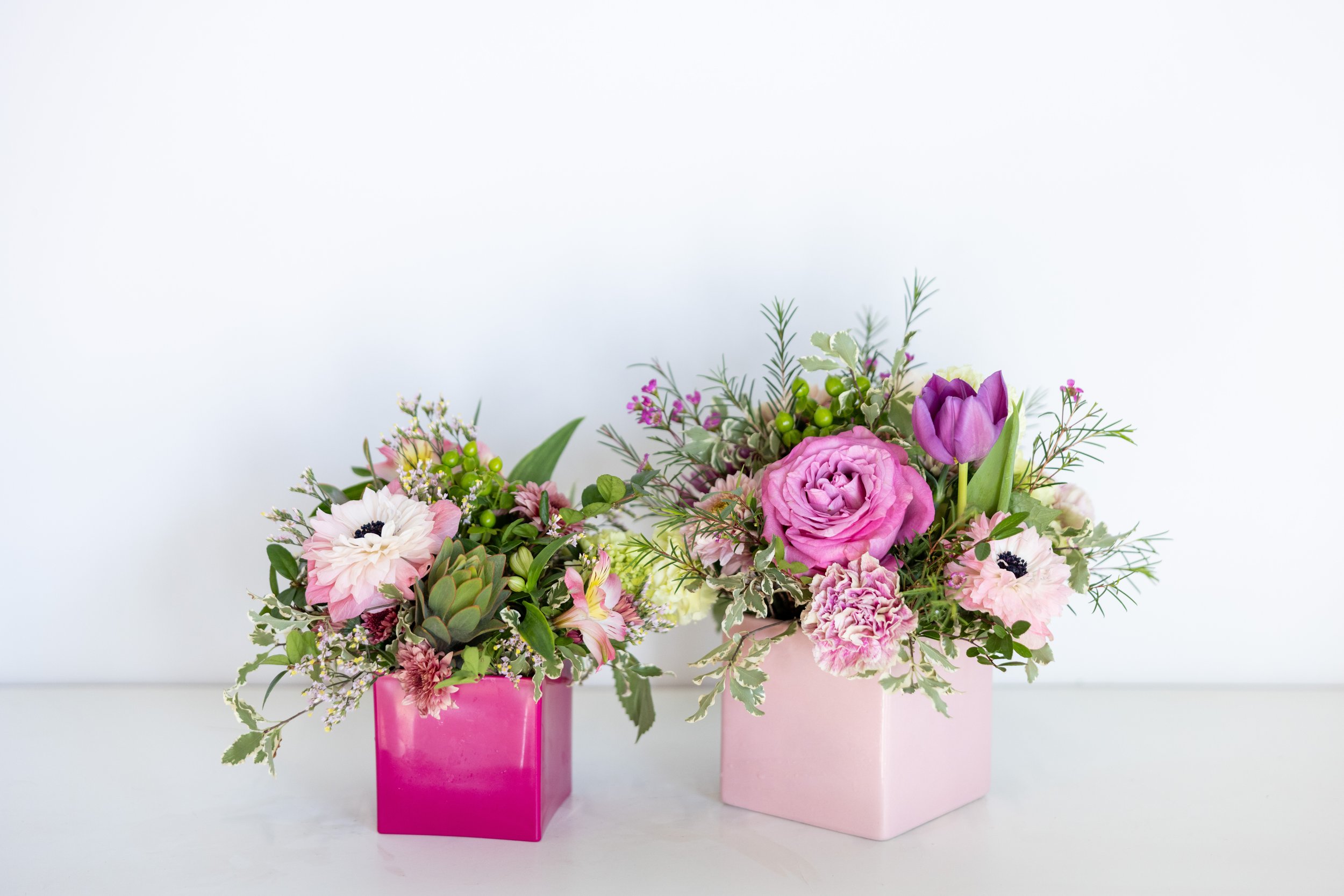 20260410 Bloom Culture 0215.jpg