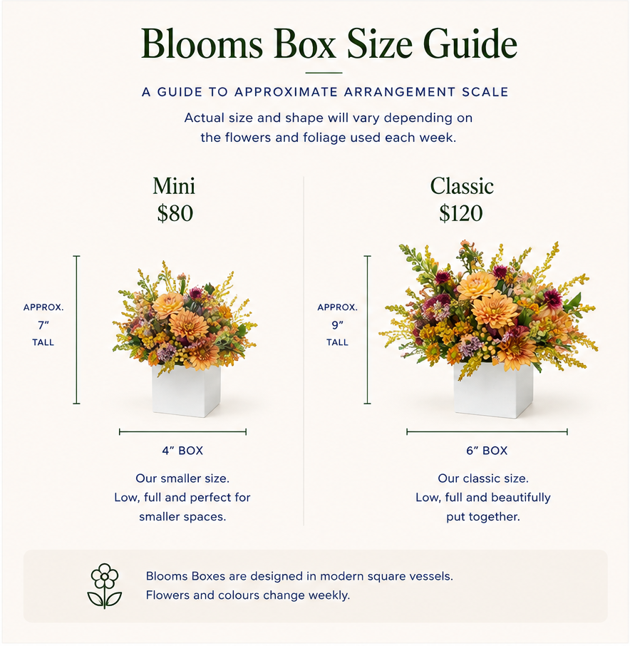 Blooms_Box_Size_Guide_1x1.png