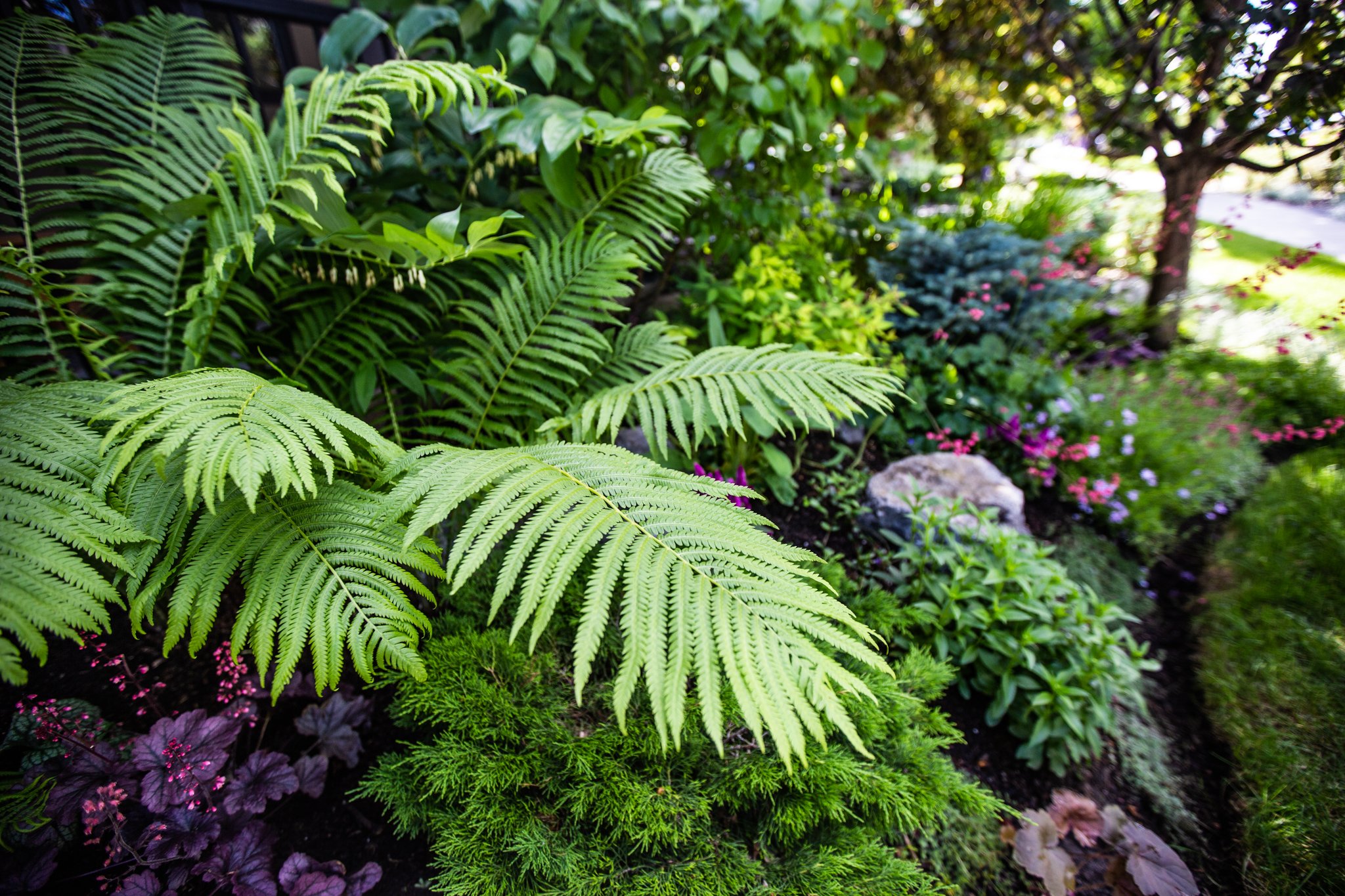 gardening-services-in-calgary.jpg