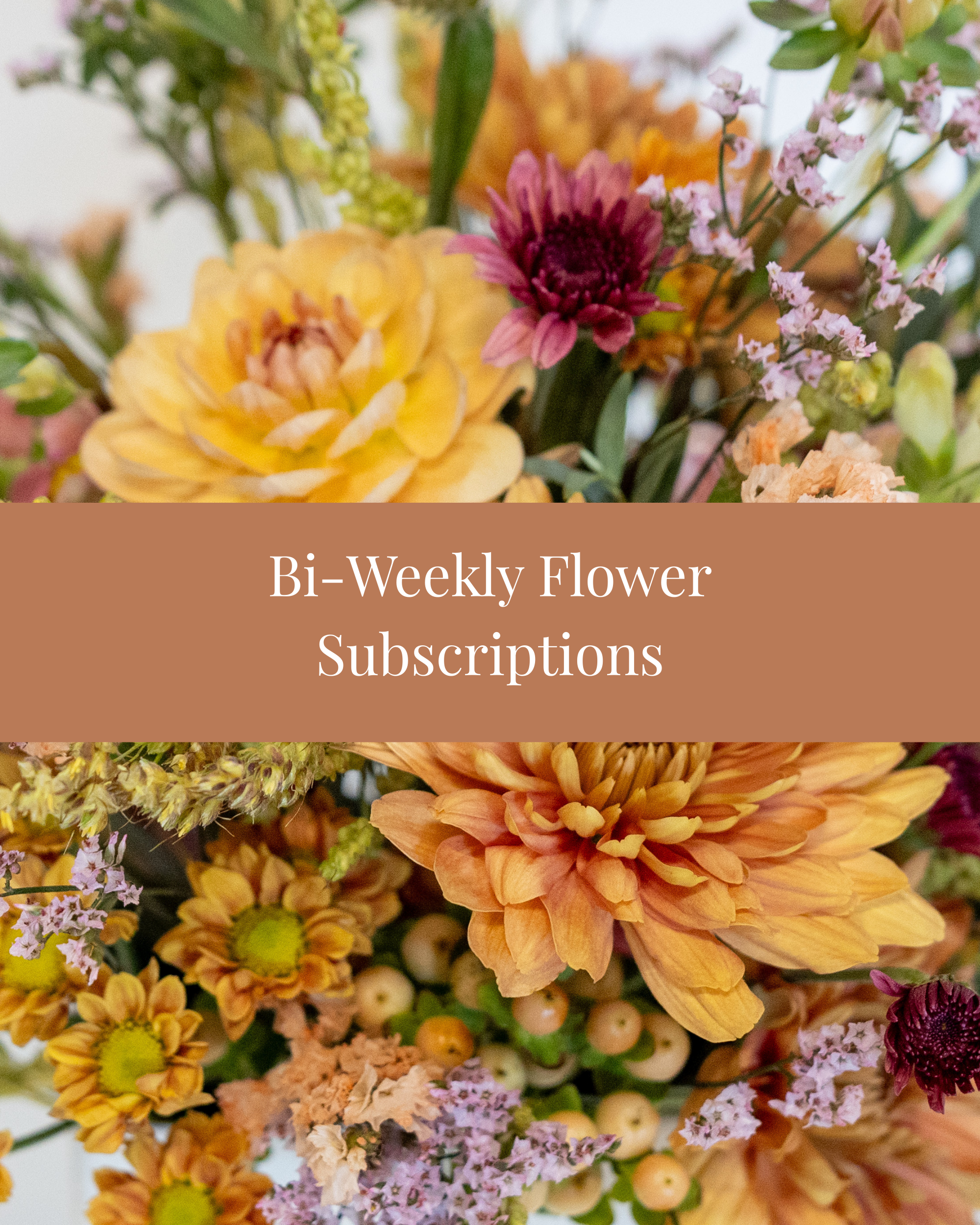 bi-weekly-flower-subscription-calgary.png