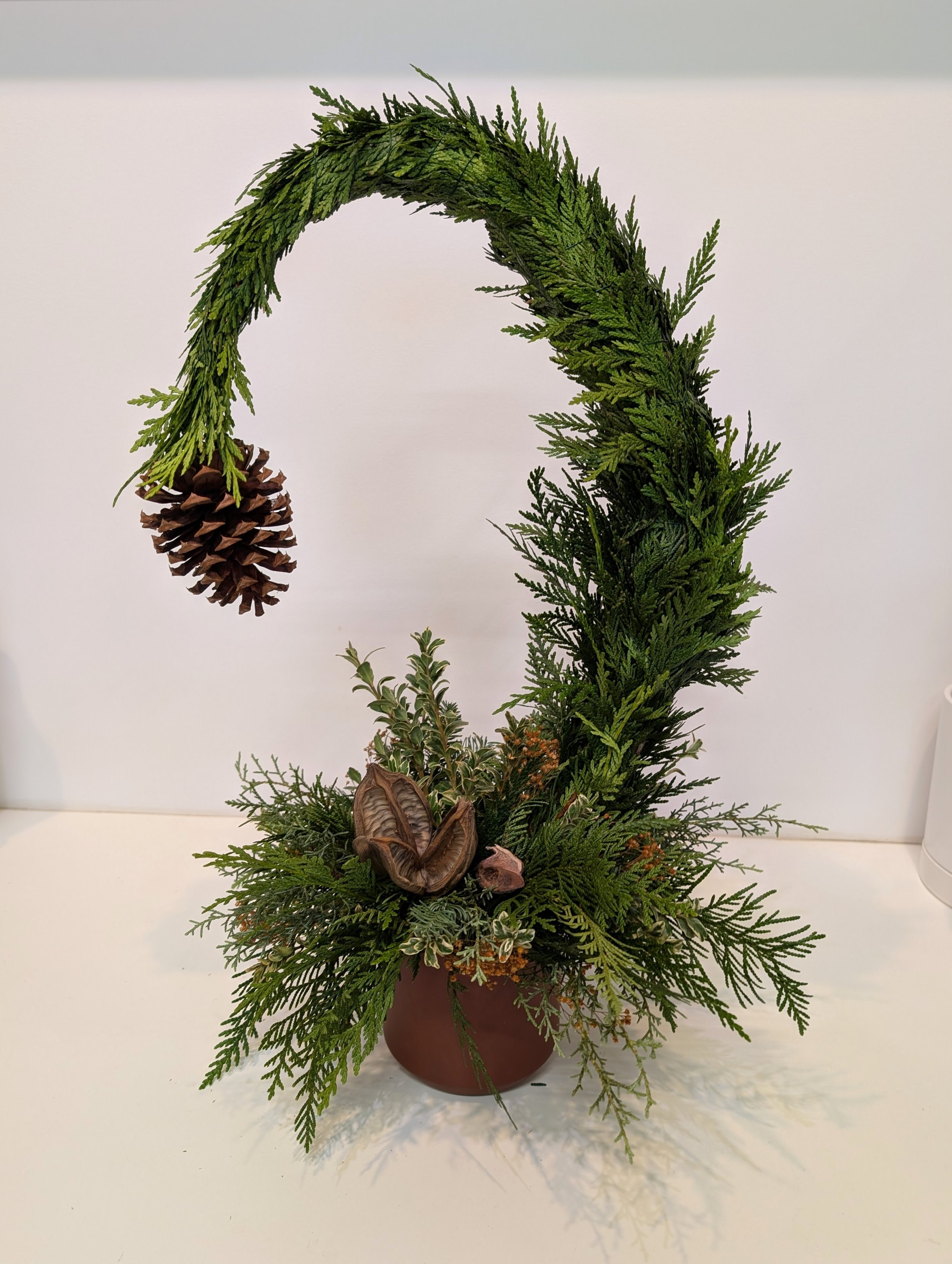 natural-grinch-tree-1223.jpg