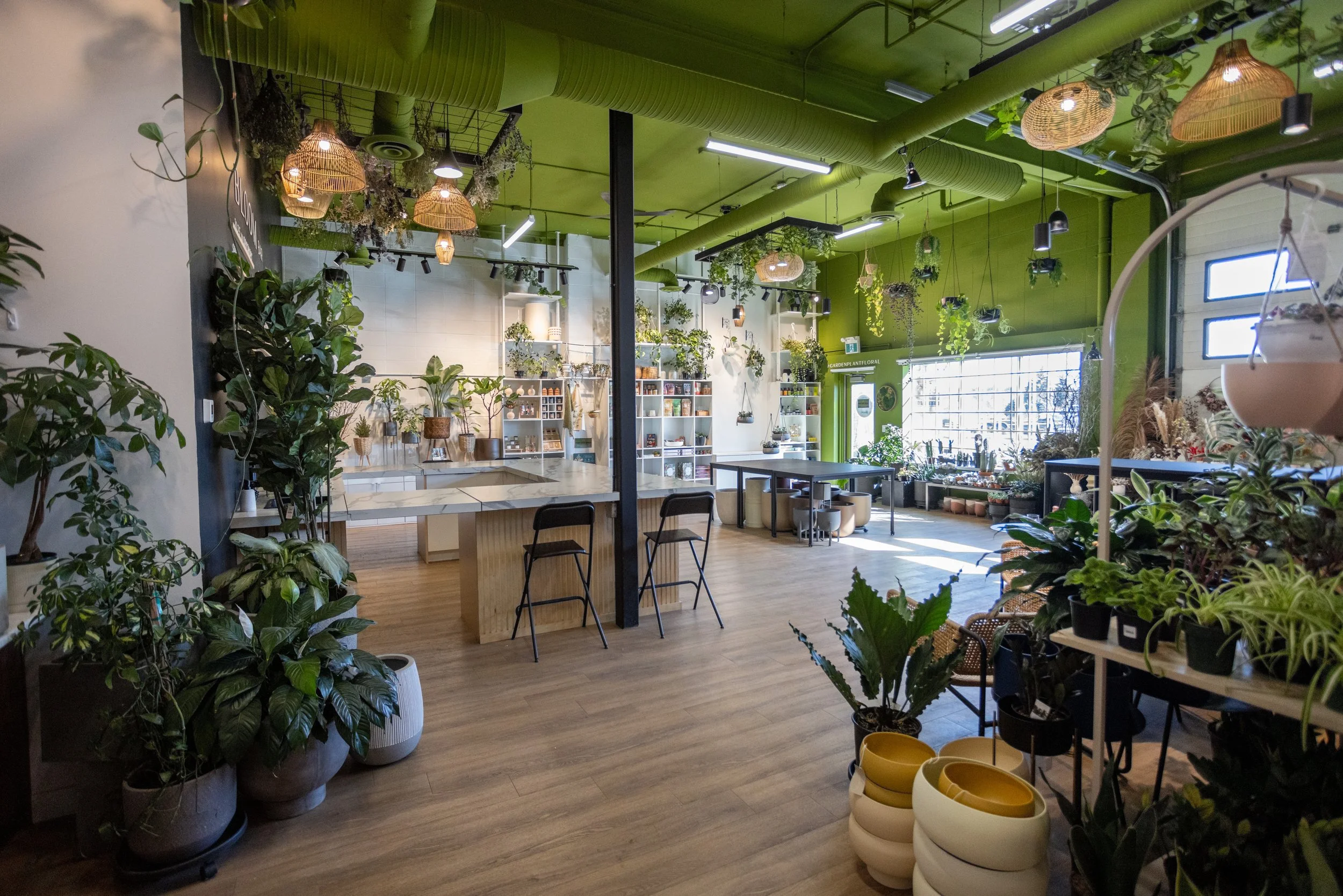 Interior of a modern plant shop with wood flooring, green ceiling, hanging and potted plants, shelves with plant supplies, a large window allowing natural light, and seating areas.