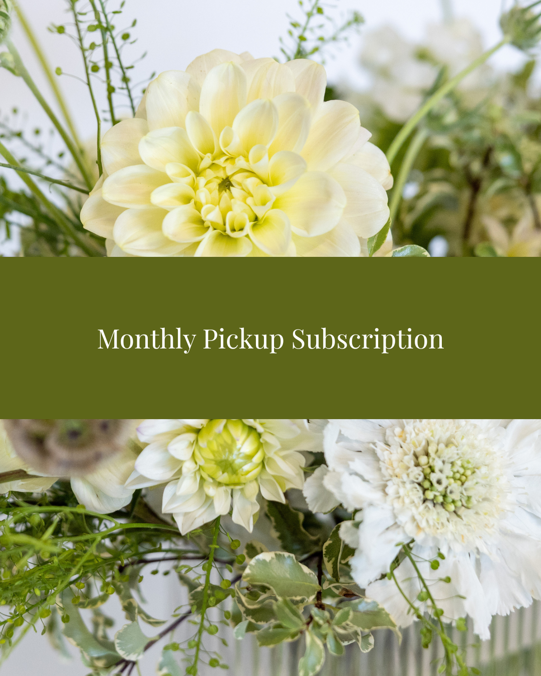 Monthly Subscription Studio Pickup