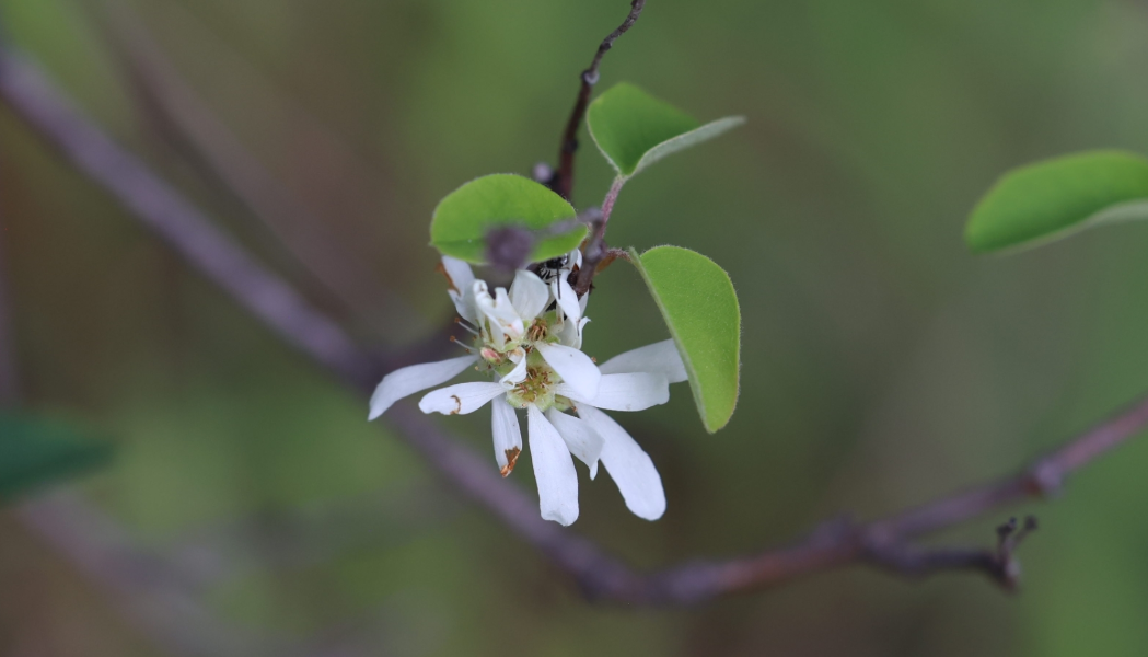 Screenshot 2025-12-31 113939.png