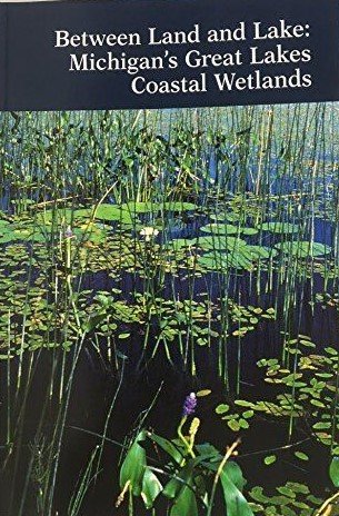 Coastal wetlands.jpg