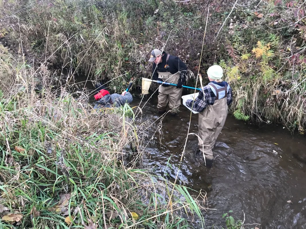 Stream Monitoring Collection & Habitat Assessment