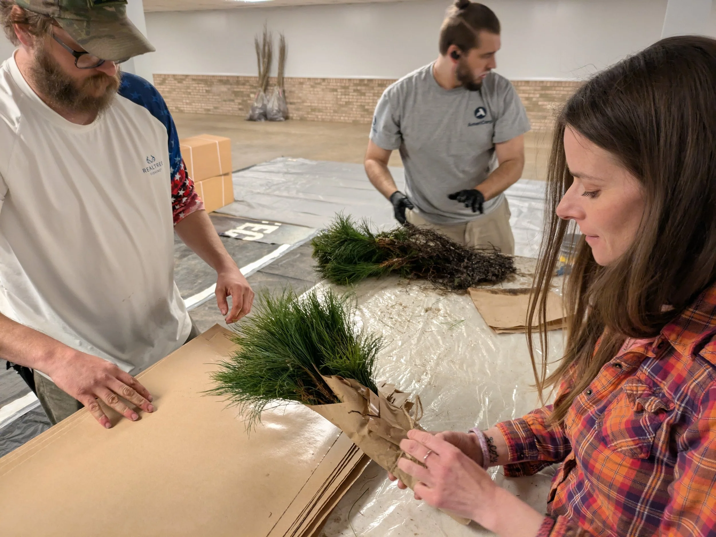 Tree Distribution VolunteerinG