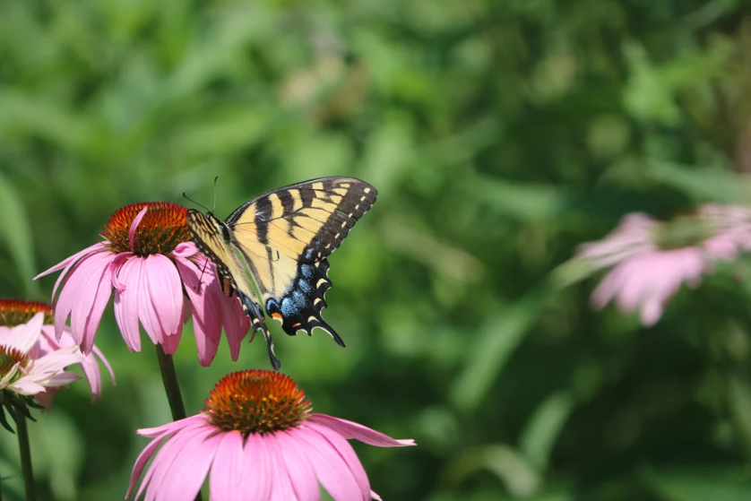 Screenshot 2026-02-24 131956.png