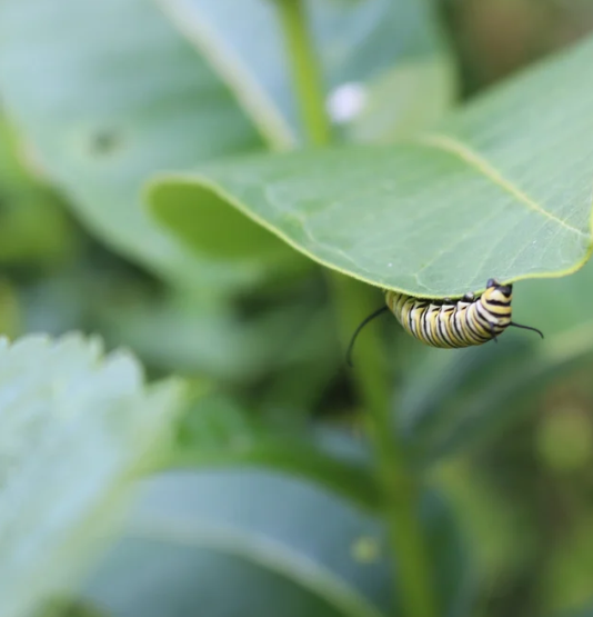 Screenshot 2026-02-24 132035.png