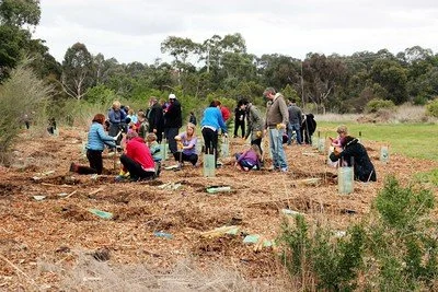 Arbor Day Tree Planting at Eaton Rapids Heart &amp; Hands