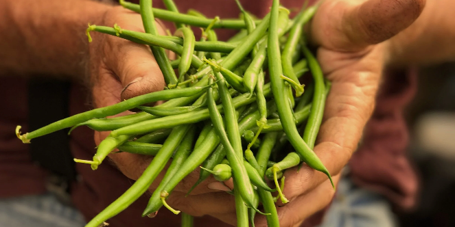 Screenshot 2026-03-17 111454.png