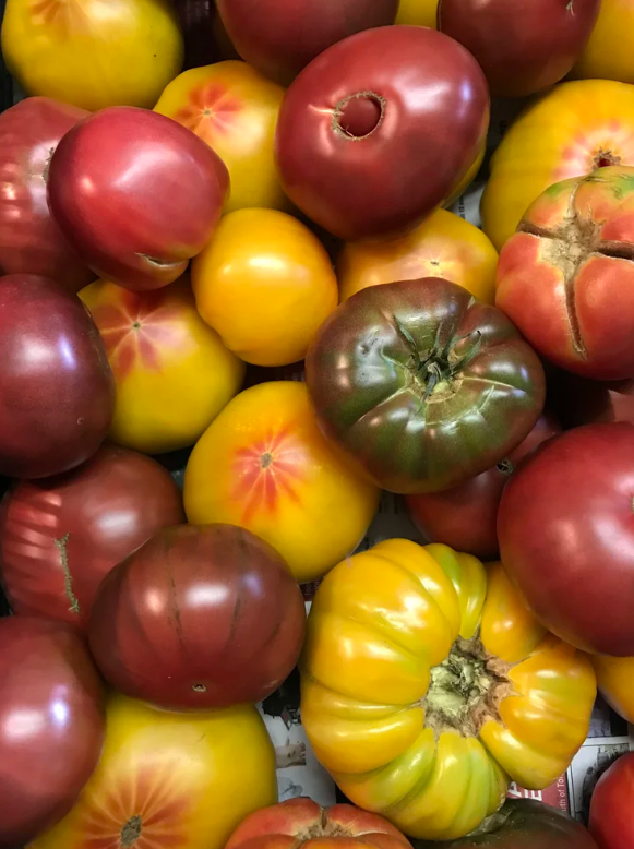 Screenshot 2026-03-17 111423.png