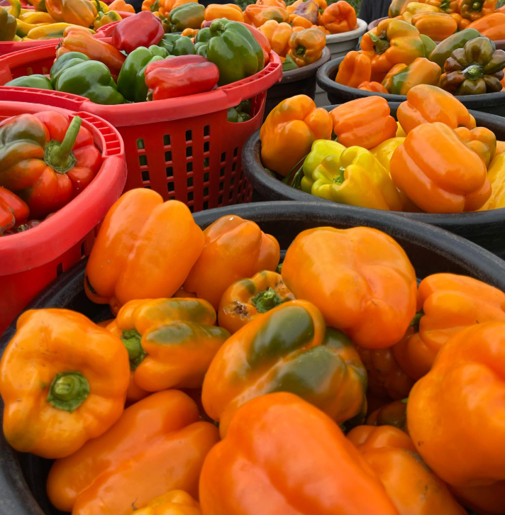 Screenshot 2026-03-17 111737.png