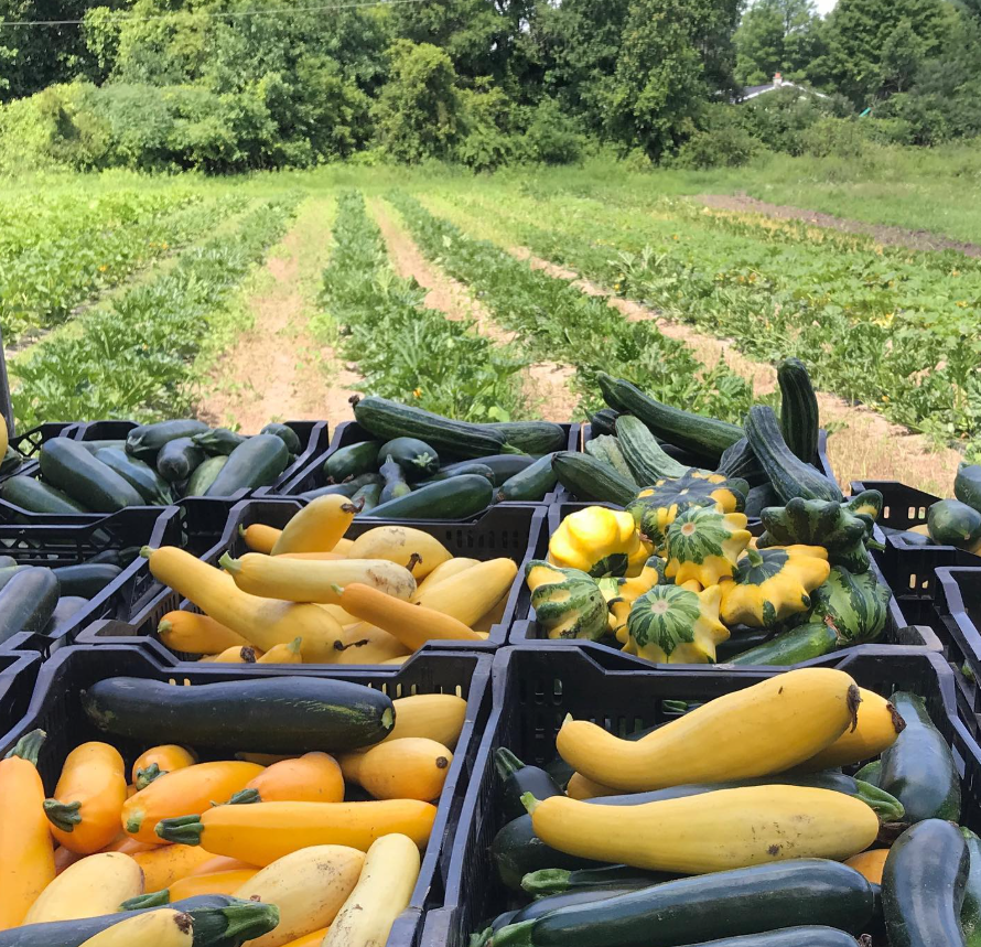 Screenshot 2026-03-17 111817.png