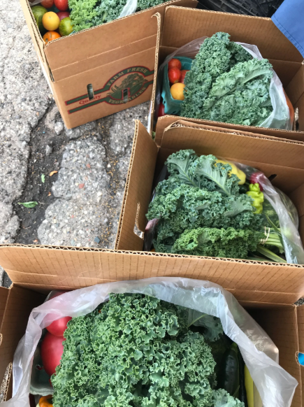 Screenshot 2026-03-17 105102.png