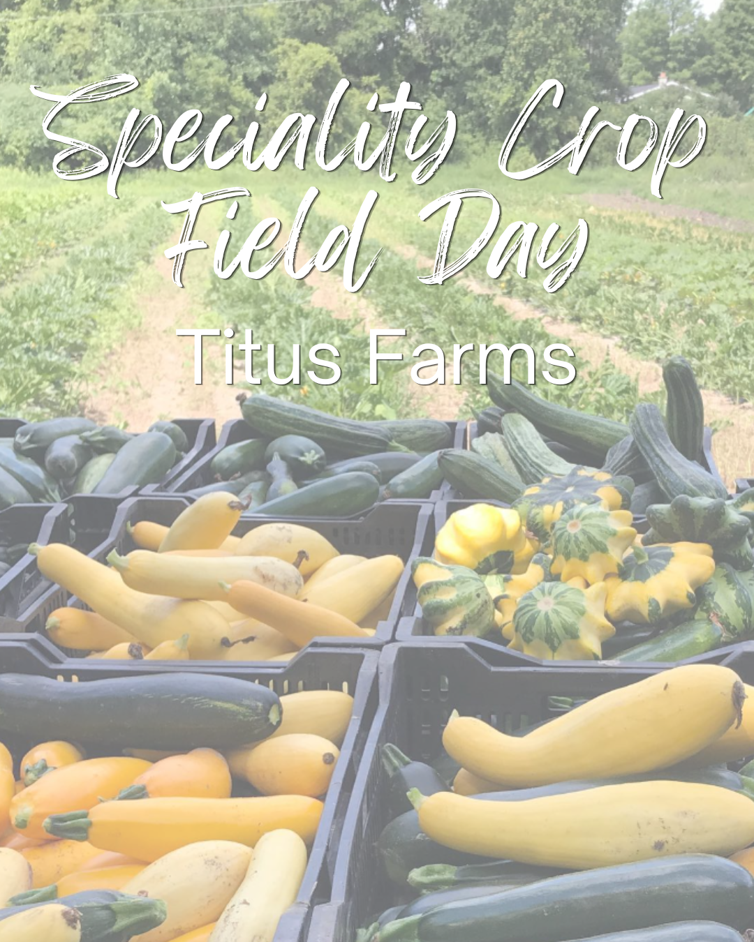 Speciality Crop Field Day with Titus Farms