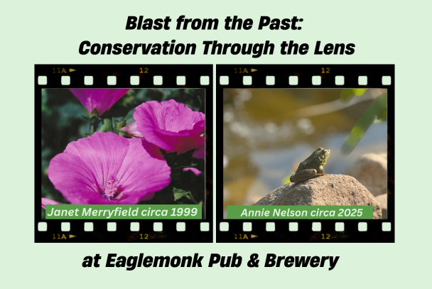 Blast from the Past:  Conservation Through the Lens