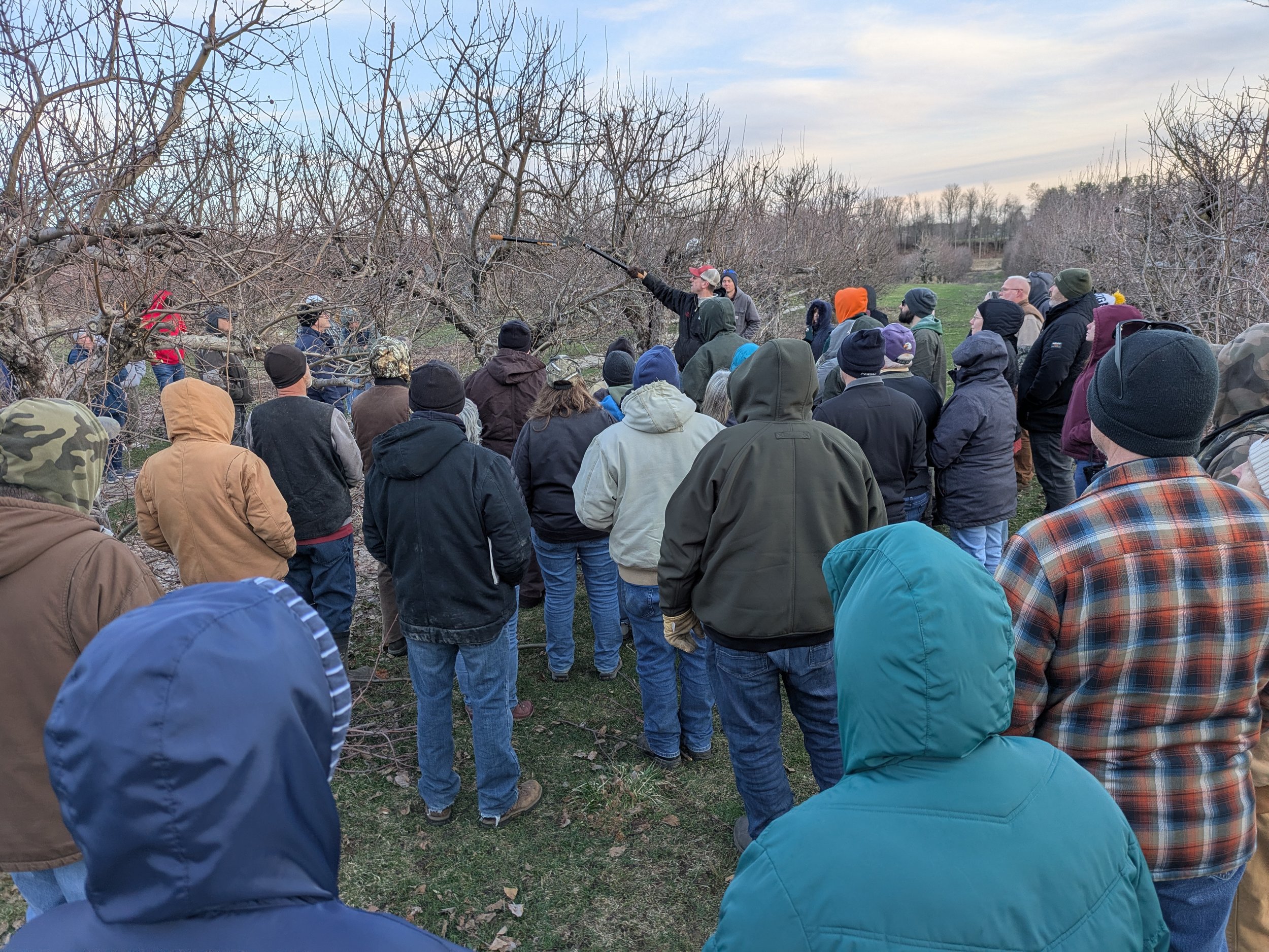 Fruit Tree Pruning WorkshoP
