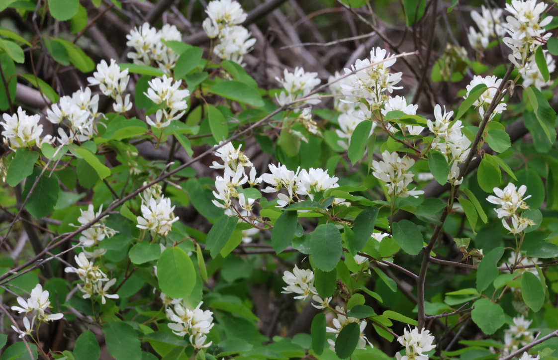 Screenshot 2025-12-31 113953.png