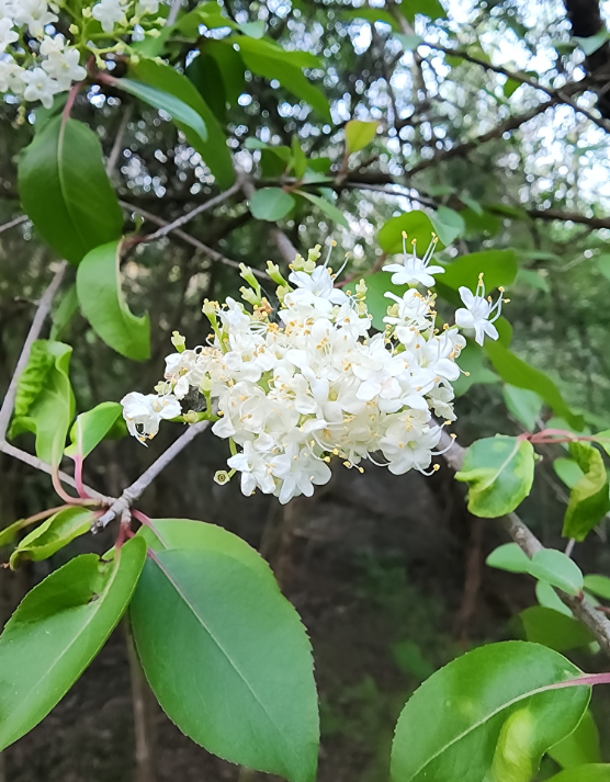 Screenshot 2025-12-28 150410.png