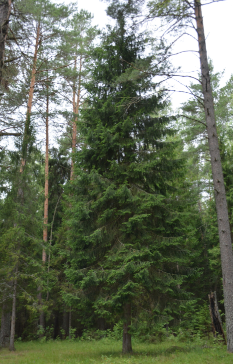 Screenshot 2025-12-22 184347.png