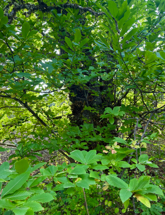 Screenshot 2026-01-28 131428.png