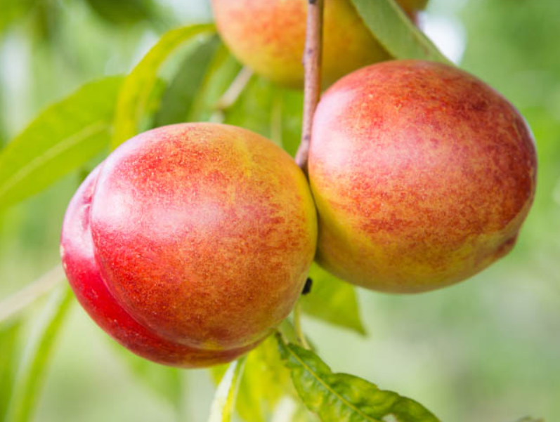 Screenshot 2025-12-28 210452.png