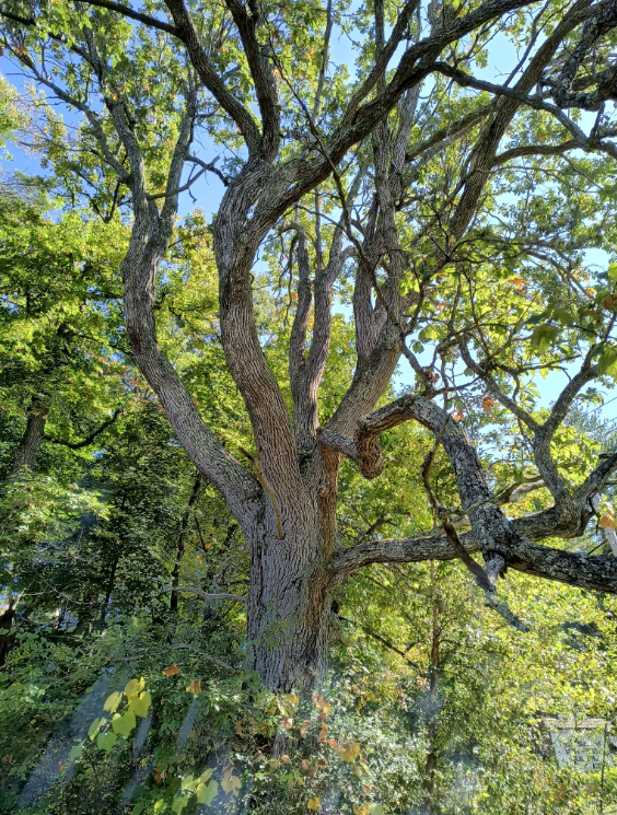 Screenshot 2025-12-20 155317.png