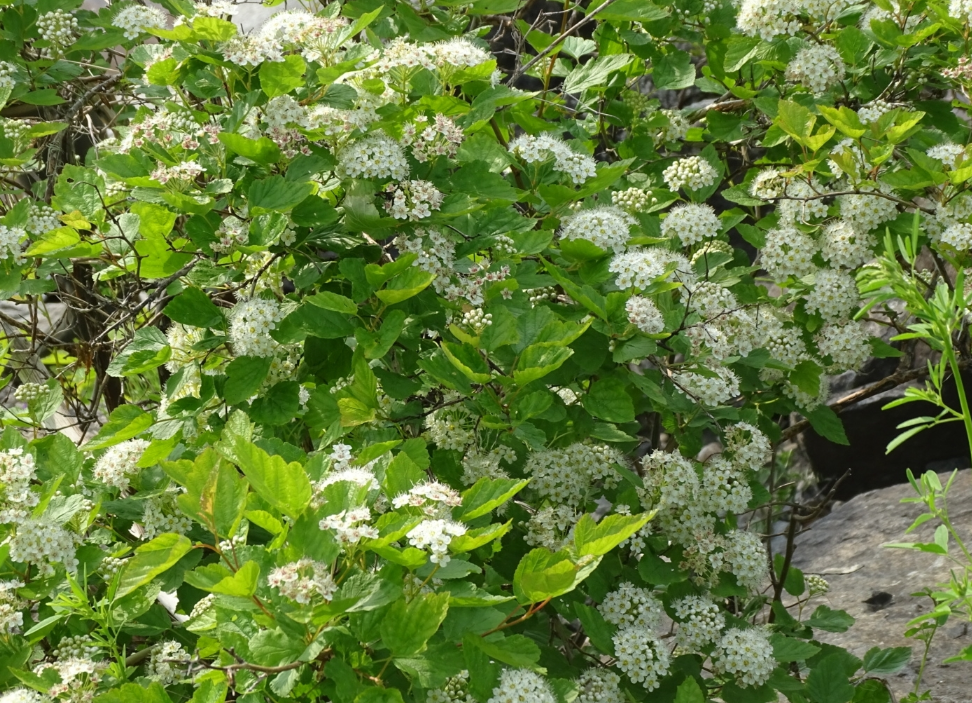 Screenshot 2025-12-31 112038.png