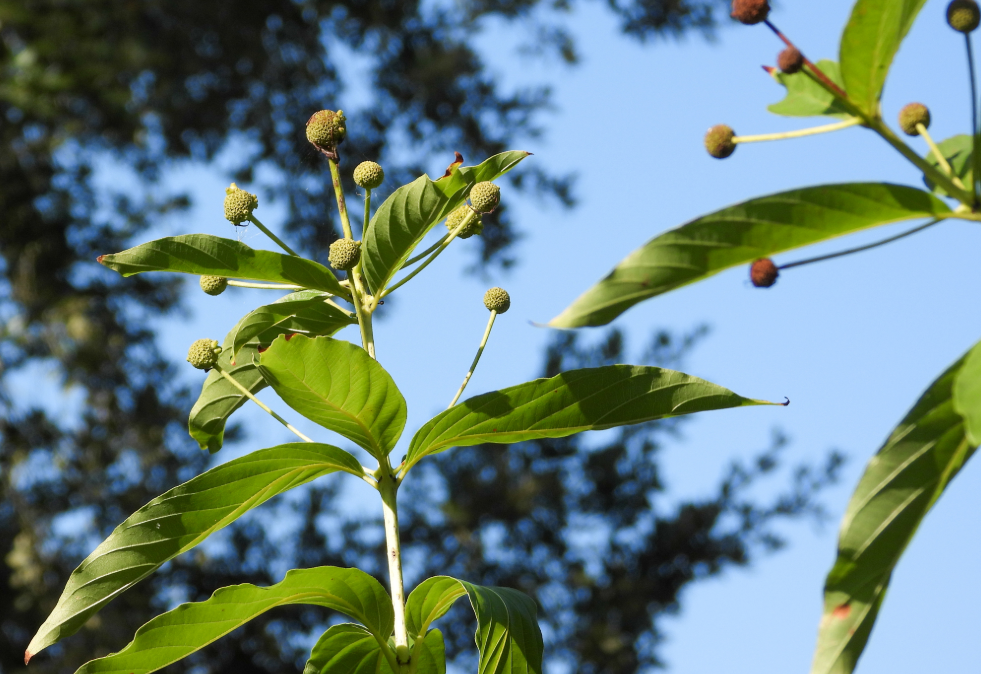 Screenshot 2025-12-31 121805.png