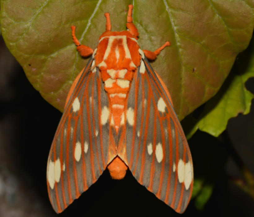 Screenshot 2026-01-02 124908.png