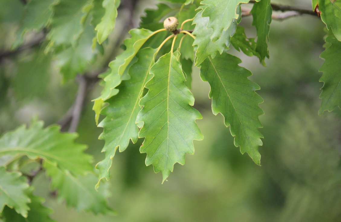 Screenshot 2025-12-19 144234.png