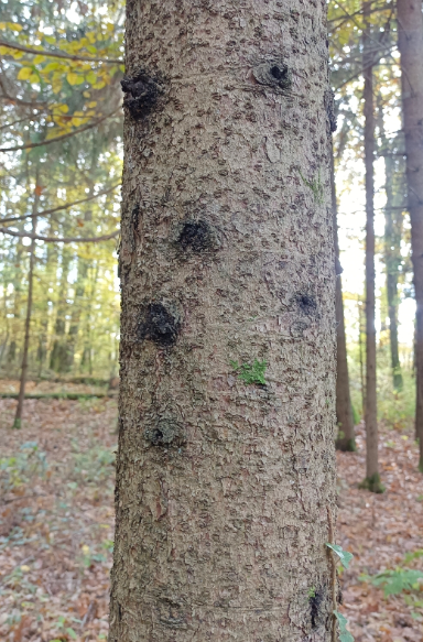 Screenshot 2025-12-22 183717.png