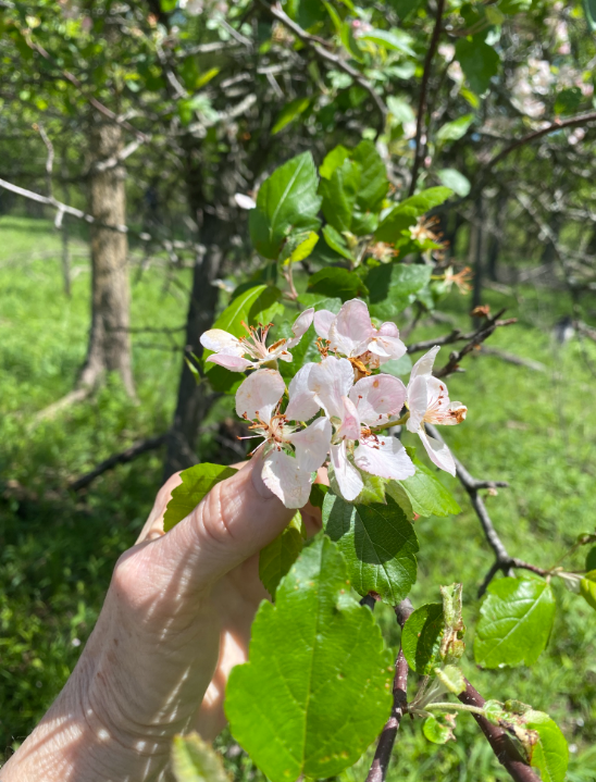 Screenshot 2025-12-19 160842.png