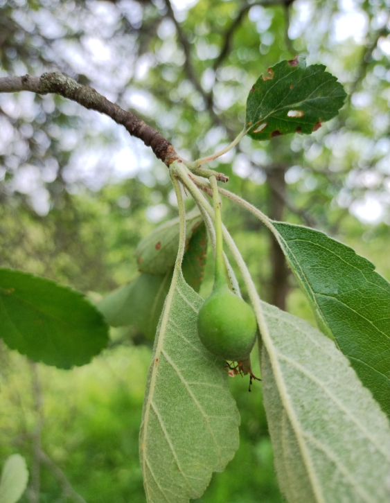 Screenshot 2025-12-19 160923.png