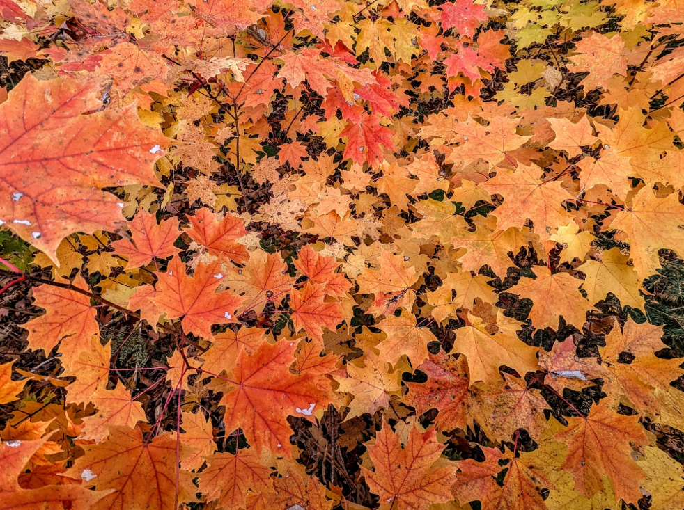 Screenshot 2025-12-19 173701.png