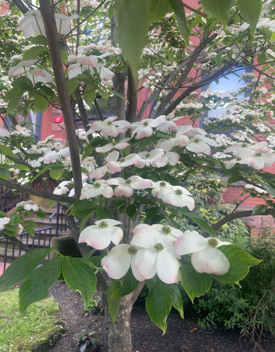 Screenshot 2025-12-20 160345.png