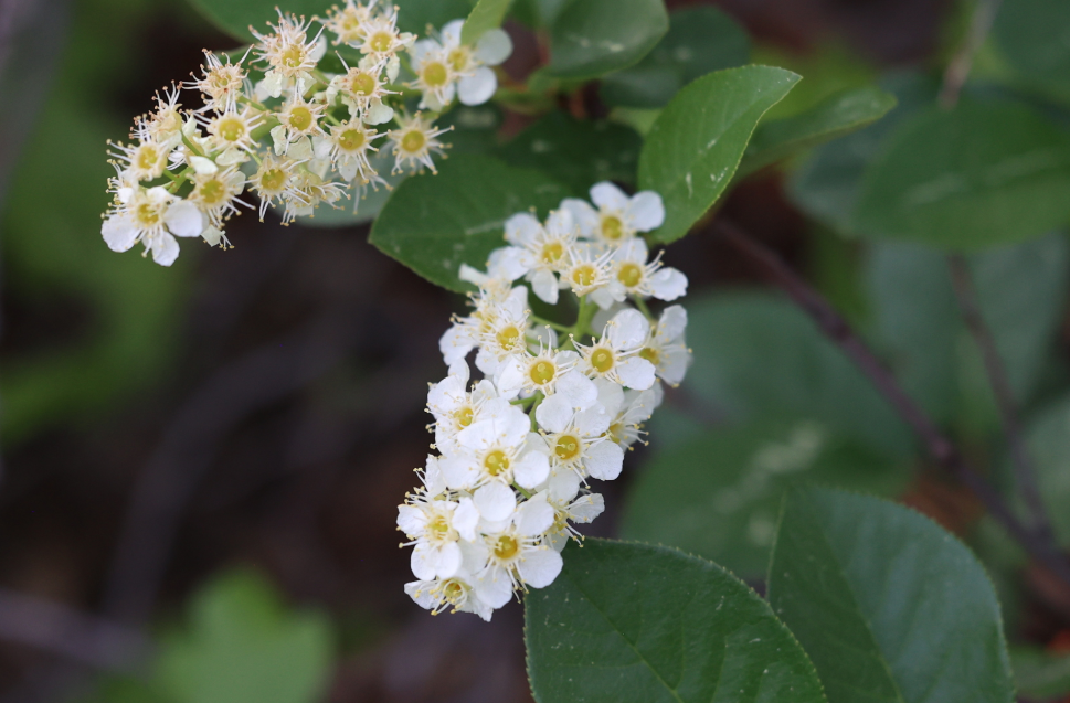 Screenshot 2025-12-19 145810.png