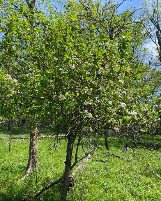 Screenshot 2025-12-19 160824.png