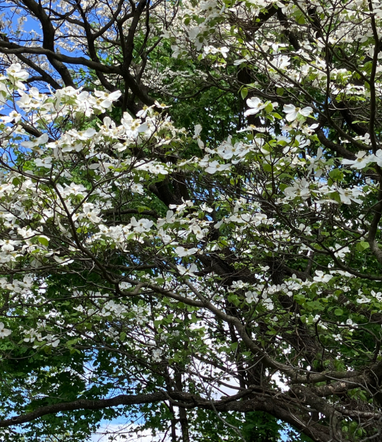 Screenshot 2025-12-20 160548.png