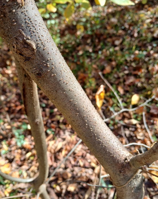 Screenshot 2025-12-31 114320.png