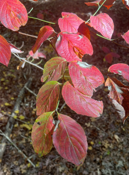 Screenshot 2025-12-20 160227.png